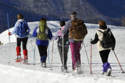 Raquettes à neige privative au Feldberg - Bonjour Fun