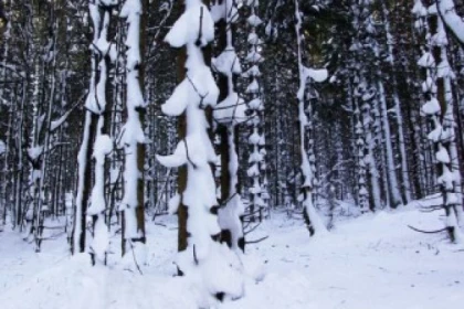 Raquettes à neige privative au Neuntelstein - Bonjour Fun