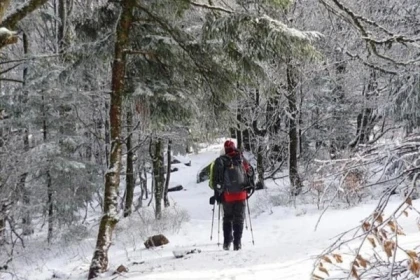 Raquettes à neige privative au Rouge Gazon - Bonjour Fun