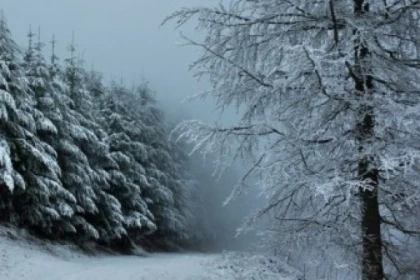 Raquettes à neige privative au Storkenkopf - Bonjour Fun