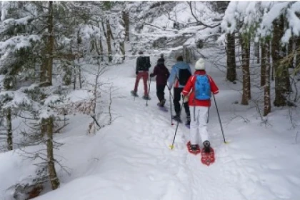 Raquettes à neige privative dans les vosges - Bonjour Fun