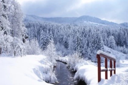 Raquettes privative au Grand Ventron - Bonjour Fun