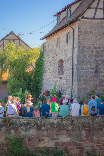Retour au Moyen-Age : visite théâtralisée à Dambach-la-Ville - Bonjour Fun