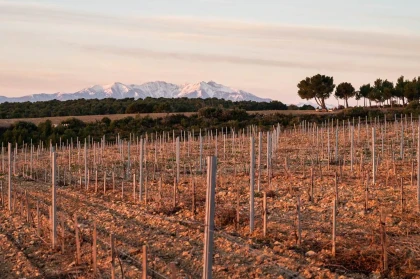 Rivesaltes, Les Secrets de son terroir - Bonjour Fun