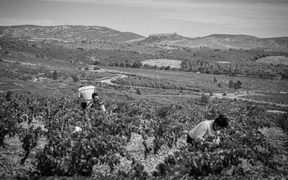 Rivesaltes, Les Secrets de son terroir - Bonjour Fun