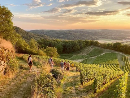Roulotte insolite, coucher de soleil avec vigne de la vallée de l’Ain - Bonjour Fun