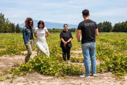 Safari Viticole en Land Rover - Bonjour Fun
