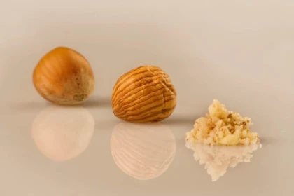 Séminaires - Bonjour Fun