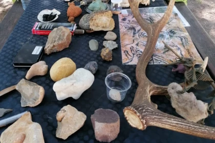 Sortie nature : la Préhistoire à travers les traces - Bonjour Fun