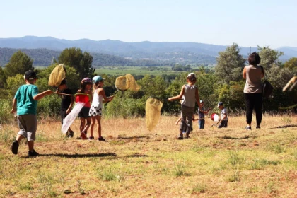 Sortie scolaire nature : Attrap'insectes ! - Bonjour Fun