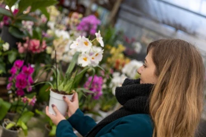 Stage autour des plantes - Orchidées - Bonjour Fun