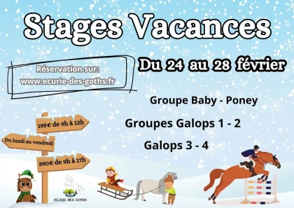 Stage d'hiver - Bonjour Fun