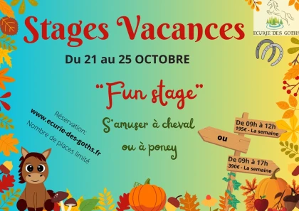 Stage toussaint du 21 au 25 Octobre - Bonjour Fun