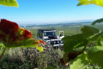 Survol du vignoble balade et dégustations / ½ journée. - Bonjour Fun