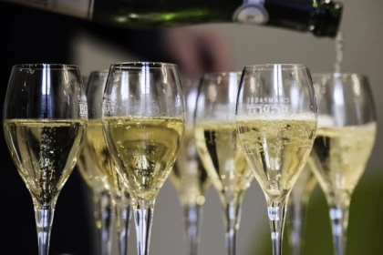 Visite + Dégustation "Deux cuvées de Champagne" - Bonjour Fun