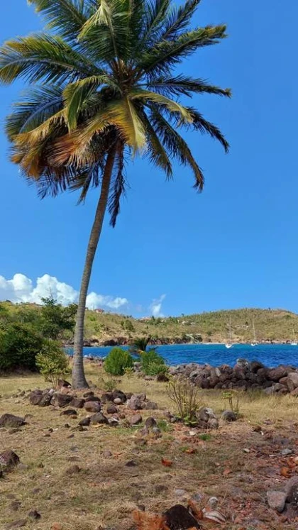 Terre de bas, ile authentique - Bonjour Fun