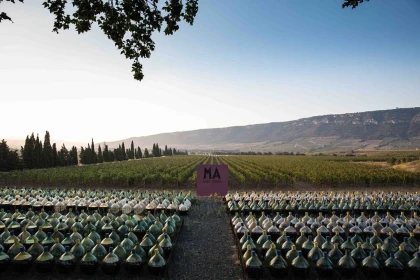 Terroirs cachés de l’Arrière Pays - Bonjour Fun