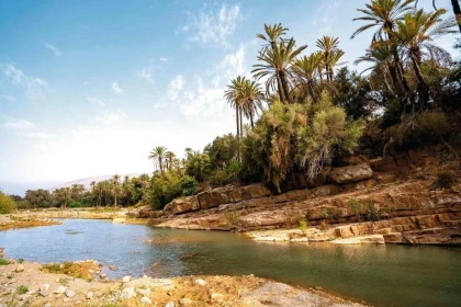Tiout l'oasis et Taroudant - Bonjour Fun