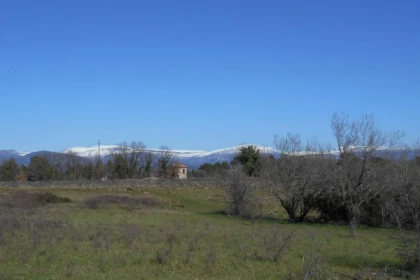 Tour de poney - Haras des Villards-CALLIAN - Bonjour Fun