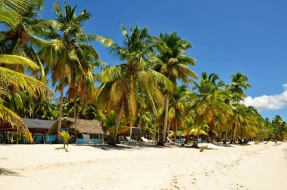 Tour en la Isla Saona - Bonjour Fun