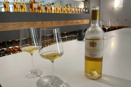 Tour privé des vignobles Bordelais au départ d'Arcachon - Bonjour Fun