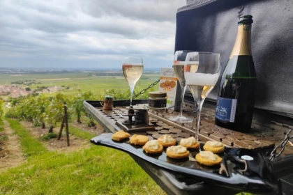 Une journée en Champagne : visite et dégustation - Bonjour Fun