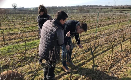 Vigneron d'un an - Bonjour Fun
