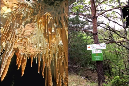 Visit and treasure hunts in the cave and in the forest - Bonjour Fun