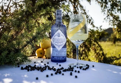 Visita de la destilería Citadelle Gin en Español - Bonjour Fun