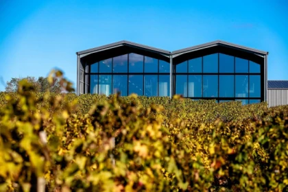Visite Accords Vins et Fromages au Château Lauduc - Bonjour Fun