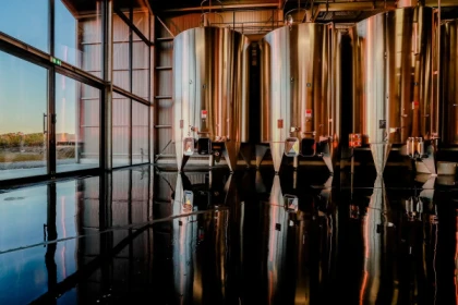 Visite Accords Vins et Fromages au Château Lauduc - Bonjour Fun