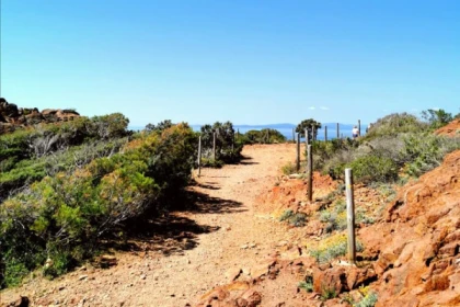 VISITE CAP DRAMONT - Bonjour Fun