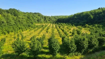 Visite courte gourmande - 20 produits dégustés - Bonjour Fun