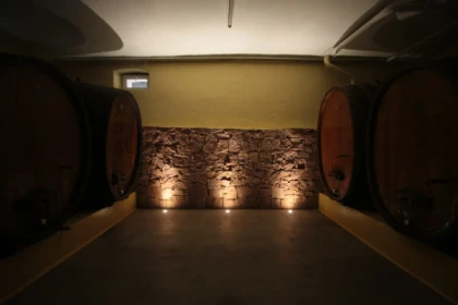 Visite de cave & dégustation - Formule Pétillante - Bonjour Fun