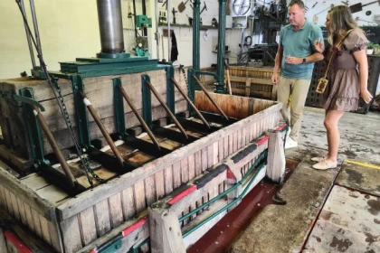 Visite de cave et balade dégustation dans le vignoble - Bonjour Fun