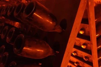 Visite de cave et balade dégustation dans le vignoble - Bonjour Fun