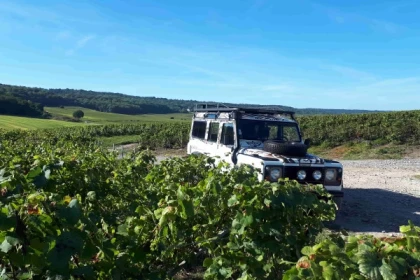 Visite de cave et balade dégustation dans le vignoble - Bonjour Fun