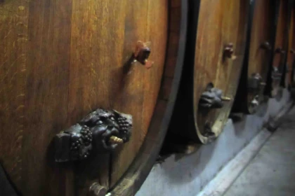 Visite de cave et dégustation de vin bio à Ammerschwihr - Bonjour Fun