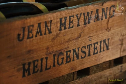 Visite de cave et dégustation - Bonjour Fun