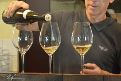 Visite de cave et dégustation - Bonjour Fun