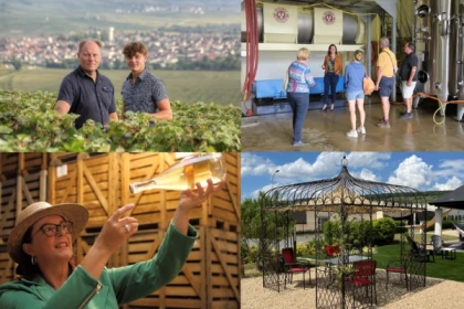 Visite de caves commentée suivie d'une dégustation - Bonjour Fun