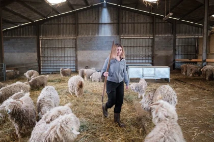 Visite de groupe demi journée 10h - 12 h - Bonjour Fun