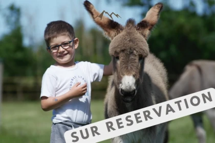 Visite de la ferme - Bonjour Fun