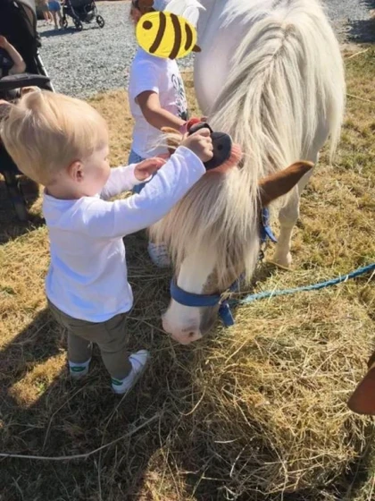 Visite de la Ferme - Bonjour Fun