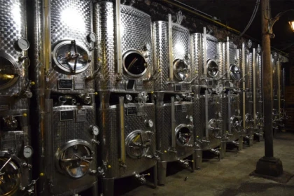 Visite découverte de nos caves - Bonjour Fun