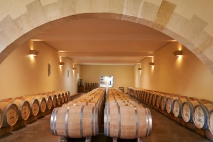 Visite découverte du Château Haut Breton Larigaudière - Bonjour Fun