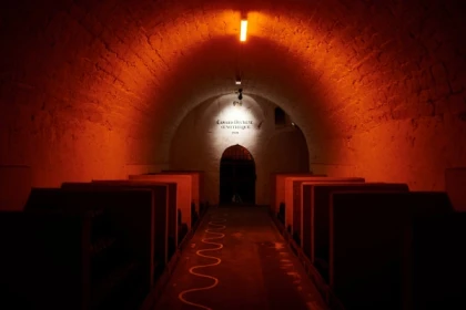 Visite & Dégustation "Essentiel" - Bonjour Fun