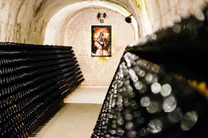 Visite & Dégustation Iconic - Bonjour Fun