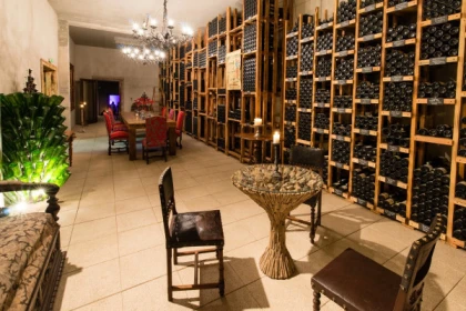 Visite du domaine et dégustation commentée - Bonjour Fun