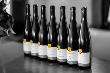 Visite du domaine et dégustation commentée - Bonjour Fun